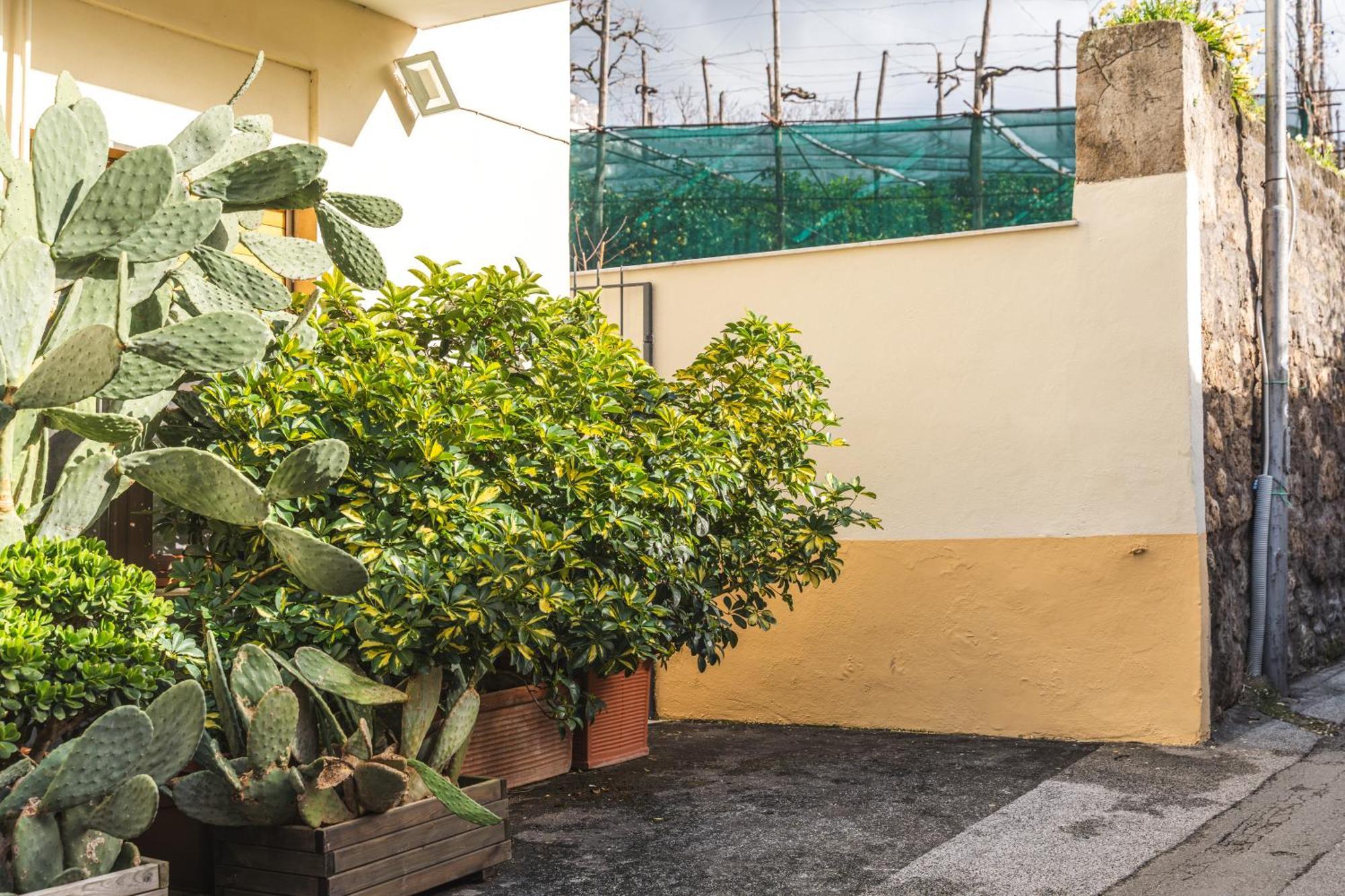 Sorrento Central Flat Ngoại thất bức ảnh